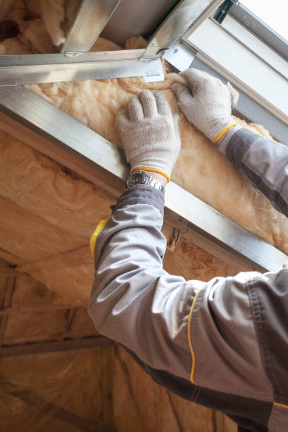 Best Eco-Friendly or Green Insulation Solutions  in Westwego, LA